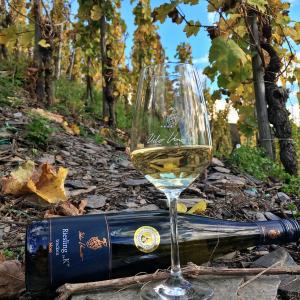 Weingut Knodt-Trossen