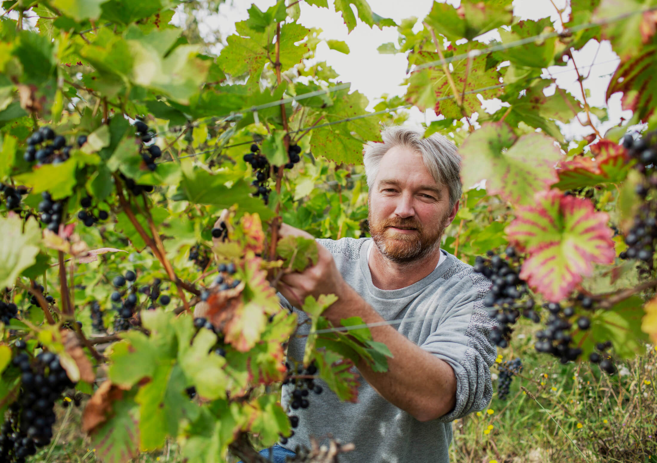 Weingut Christian Deppisch