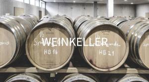 Vorschaubild Weingut Ellwanger
