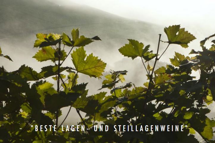 Weingut Leiss
