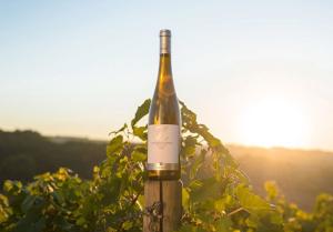 Weingut Zahn