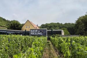 Weingut Vincenz Richter