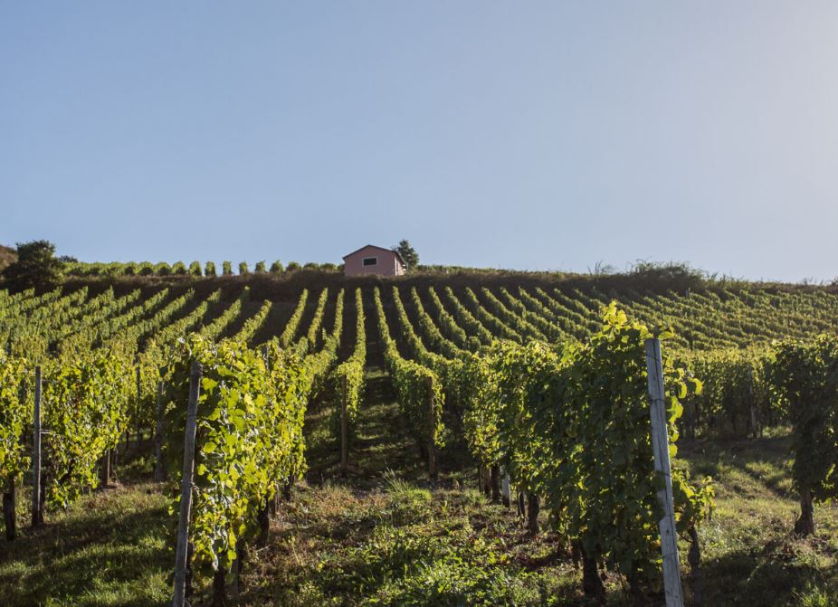 Weingut Reverchon KG